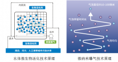 澳门永利网址_澳门永利网站_澳门永利官网_可用于污水预处理